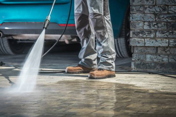 Best Winterizing Services  in Parkland, FL