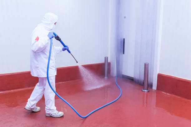 Best Building Exterior Washing  in Parkland, FL