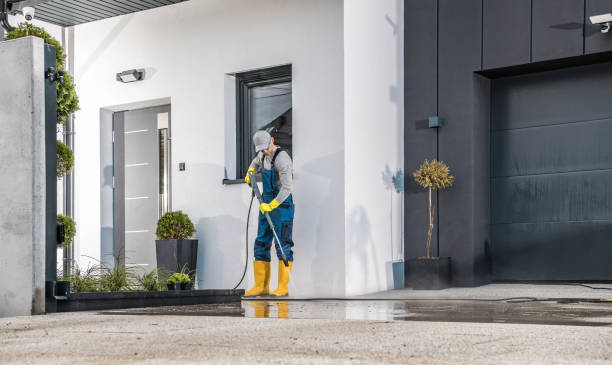 Pre-Holiday Cleaning in Parkland, FL